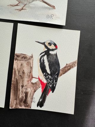 3 Acuarelas Pájaros (3 cuadros)