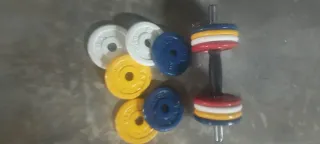 Mancuerna Salter 14 discos 0.5kg