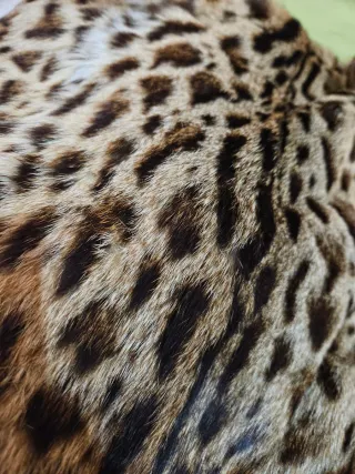 Chaquetón vintage ocelote talla 44