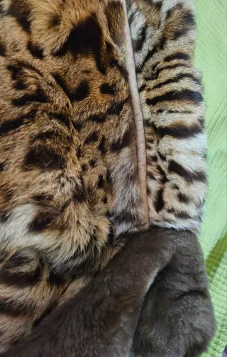 Chaquetón vintage ocelote talla 44