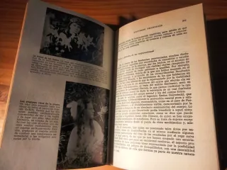 Universo prohibido, colección Otros Mundos