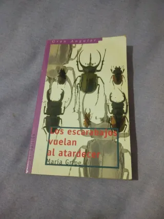 Los escarabajos vuelan al atardecer