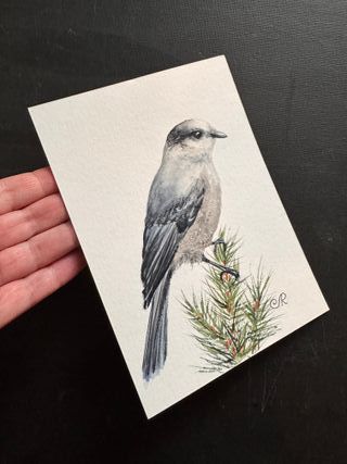 Acuarela Pájaro Cuadro