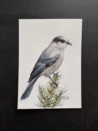 Acuarela Pájaro Cuadro