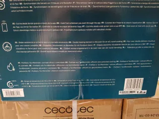 Cecofry FoodCourt 11000 Connected C