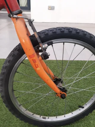 Bicicleta infantil 20 pulgadas