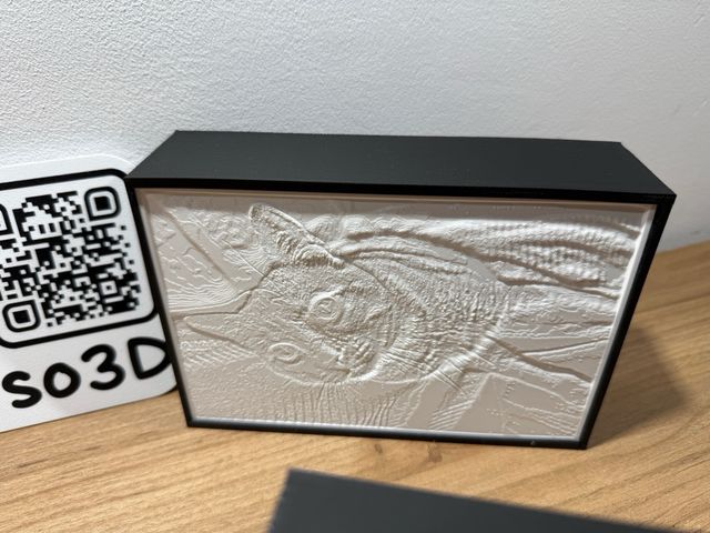 Litofanía Retroiluminada en 3D Personalizada