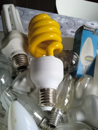 Lote Bombillas Transparentes y Blancas