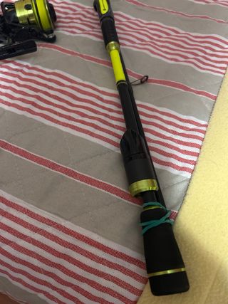 Caña de Spinning Mitchell Colors MX