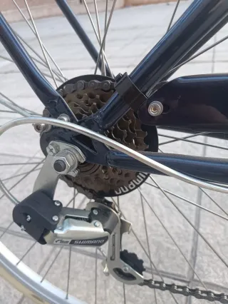 Bicicleta Capri Berlin