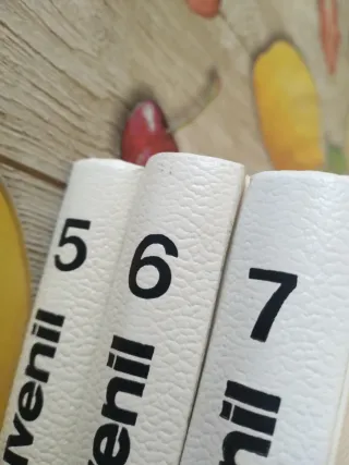 A-ZETA Enciclopedia Juvenil