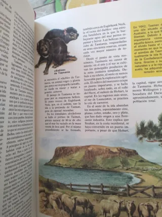 A-ZETA Enciclopedia Juvenil