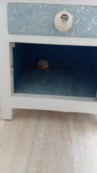 Mesilla de noche vintage.