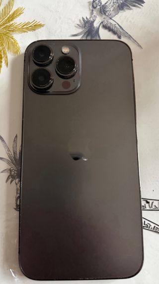 iPhone 13 Pro Max 256GB Gris