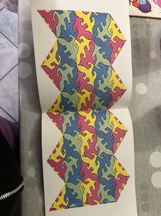 M.C. Escher caleidocicli