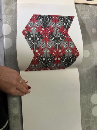 M.C. Escher caleidocicli