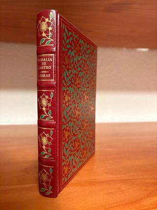 En las orillas del Sar Ruinas Rosalía de Castro