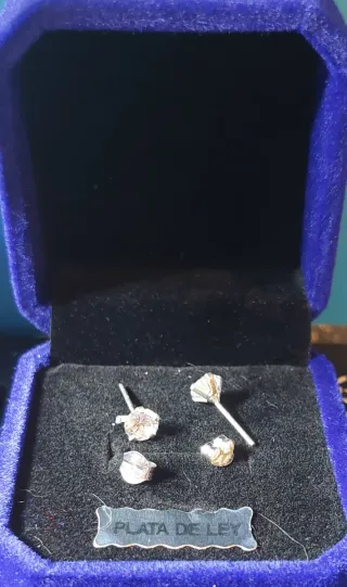 Pendientes de Plata de Ley