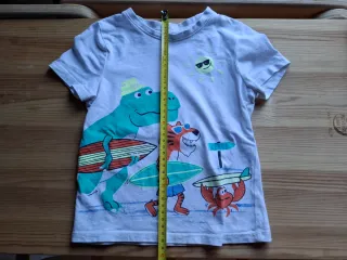 Lote 3 camisetas manga larga + 2 cortas