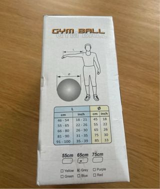 Palla da Ginnastica (Gym Ball)