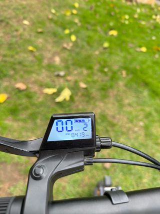 Patinete Eléctrico Ecoxtrem Bison