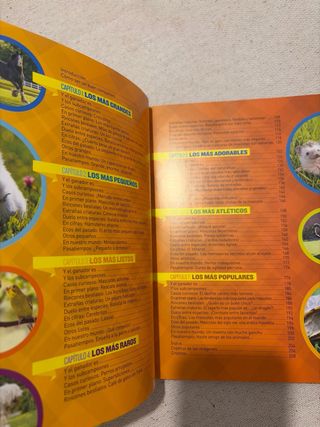 Récords de mascotas: ¡Las mascotas más raras, m...