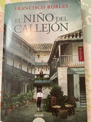 El niño del callejón