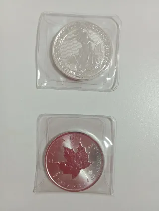 Monedas de Plata de 1 Onza (6 unidades)