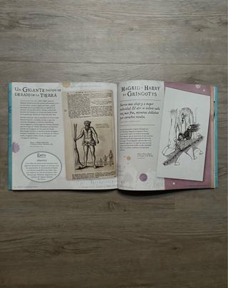 Harry Potter: Un viaje por la historia de la ma...