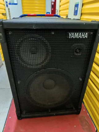 Pantallas Pasivas Yamaha YES III + Etapa SAMICK