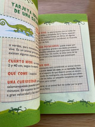 Libro Geronimo A LAS OCHO EN PUNTO CLASE DE QUESOS