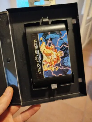 Fatal Fury Mega Drive Sega