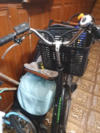 Bicicleta Eléctrica Wayscral de  Paseo