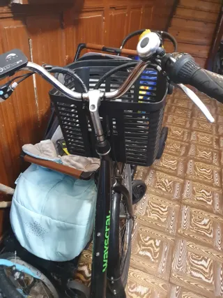 Bicicleta Eléctrica Wayscral de  Paseo