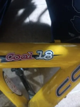 Bici montaña niño Conor 5-6 años