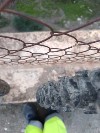 Ruedas de Bicicleta 26 x 2.00