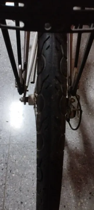 Bicicleta de montaña plateada