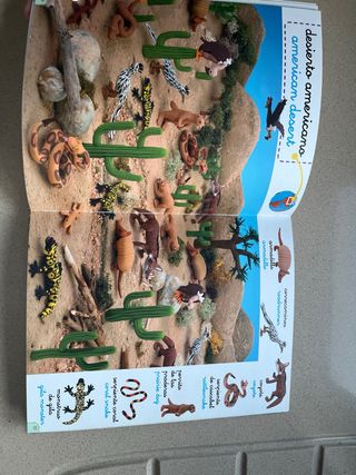 1000 palabras en ingles,los animales y su mundo