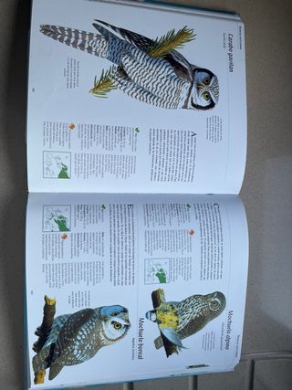 Las aves de España y Europa (con CD) (Spanish E...