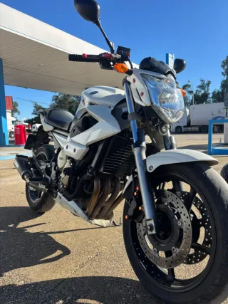 Yamaha XJ6 600 Revisada en Yamaha