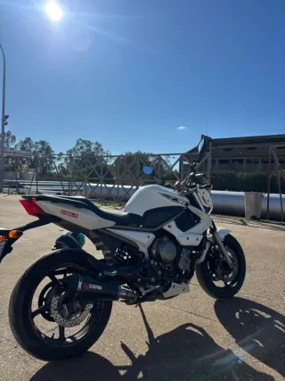 Yamaha XJ6 600 Revisada en Yamaha