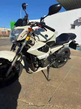 Yamaha XJ6 600 Revisada en Yamaha