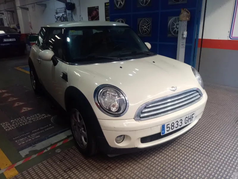 MINI 2010