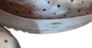 Zapatos dorados mujer plataforma