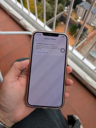 iPhone 12 Pro Max 256GB Plata