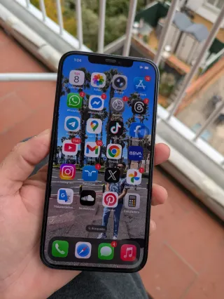 iPhone 12 Pro Max 256GB Plata