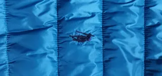 P-Club Giubbino Uomo Blu Taglia XXL