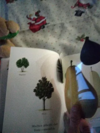 Peluche, Libros Infantiles y Globos