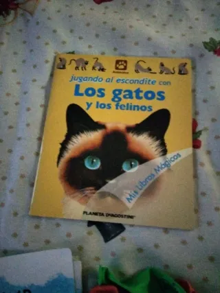 Peluche, Libros Infantiles y Globos