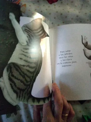 Peluche, Libros Infantiles y Globos
